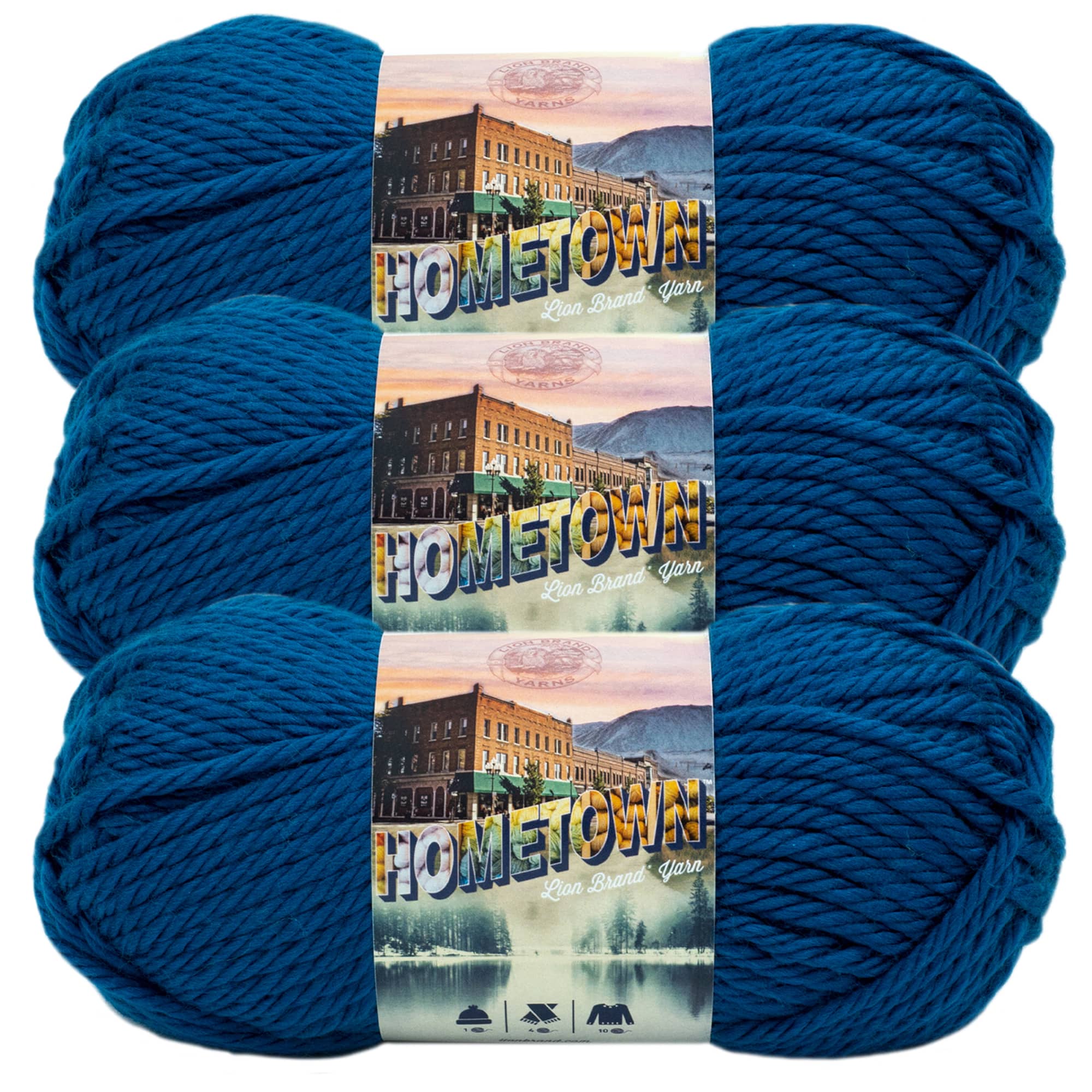 3 Pack Lion Brand® Hometown Yarn